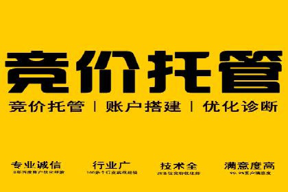 百度广告推广实战案例解析