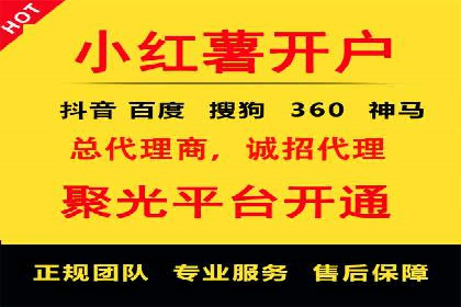 抖音信息流广告的投放策略与成功案例分析